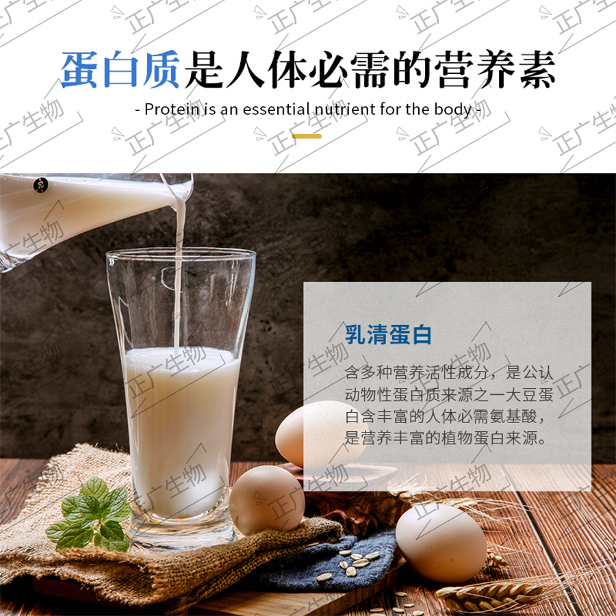 乳清蛋白固體飲料