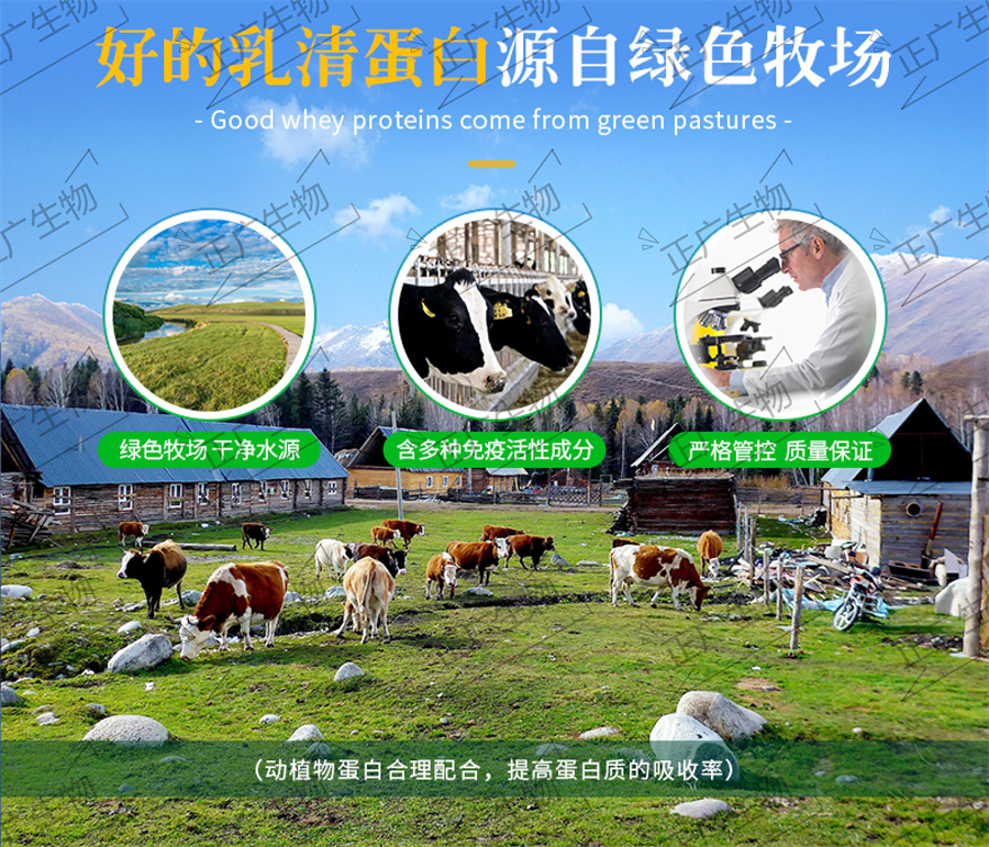 乳清蛋白固體飲料