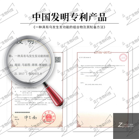 黑豆黑芝麻粉代工廠